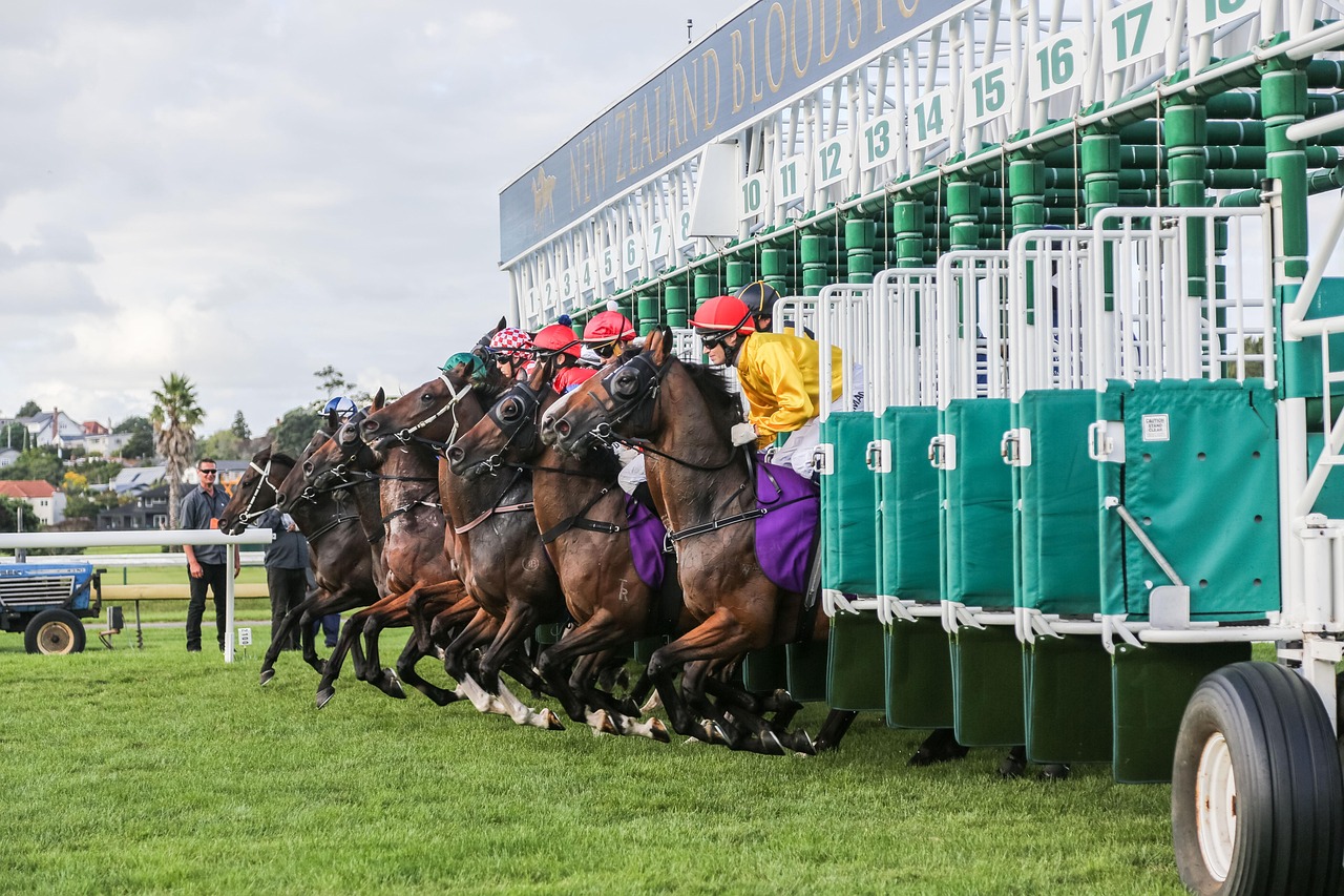 Horse racing broadcast