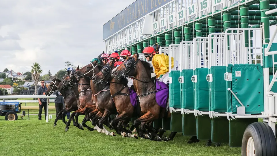 Horse racing broadcast production